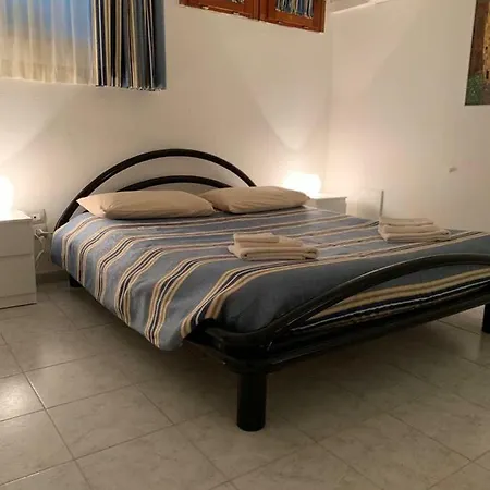 Viniola